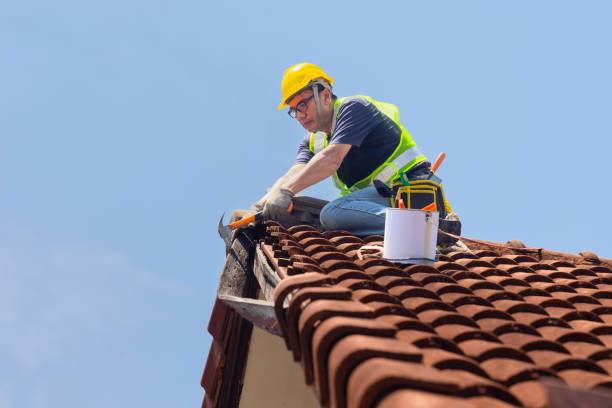 Best Gutter Installation and Repair  in Hearne, TX